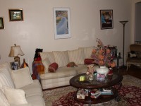 Homestay facilities (2)